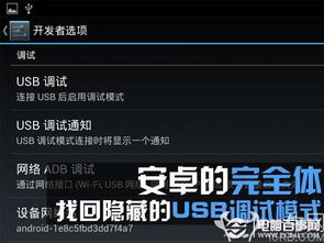 USB調(diào)試不見了怎么辦？電腦圖文設(shè)計(jì)找回隱藏的USB調(diào)試模式指南